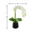 Arrangement d'orchidées dans un vase en verre avec feuilles d'orchidées et mousse