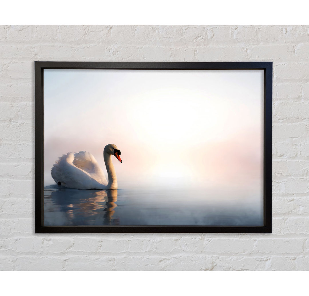 Misty Swan - Einzelner Bilderrahmen Kunstdrucke auf Leinwand