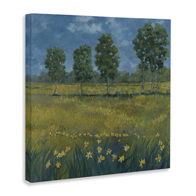 «Meadow with Daffodils», art mural sur toile par Graham Reynolds