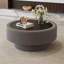 Table basse 31,5 po