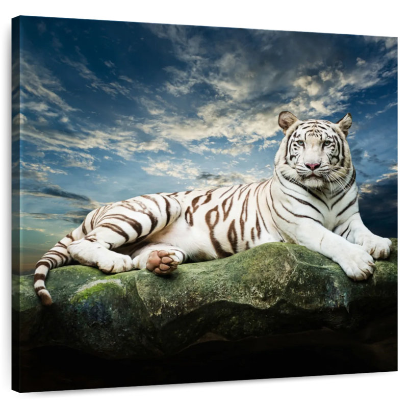 Brampt Lounging White Tiger, 16" H x 16" W