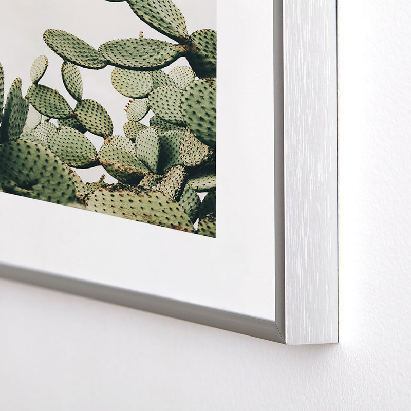 Cactus sur un ciel bleu - impression d'un seul cadre photo, Argent, H 10 po x l 8 po