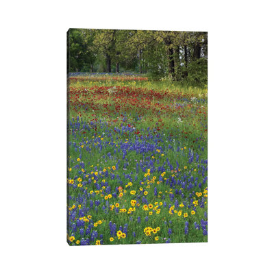 Sand Bluebonnet, Drummond's Phlox And Tickseed, Fort Parker State Park, Texas II by Tim Fitzharris - Wrapped Canvas Print