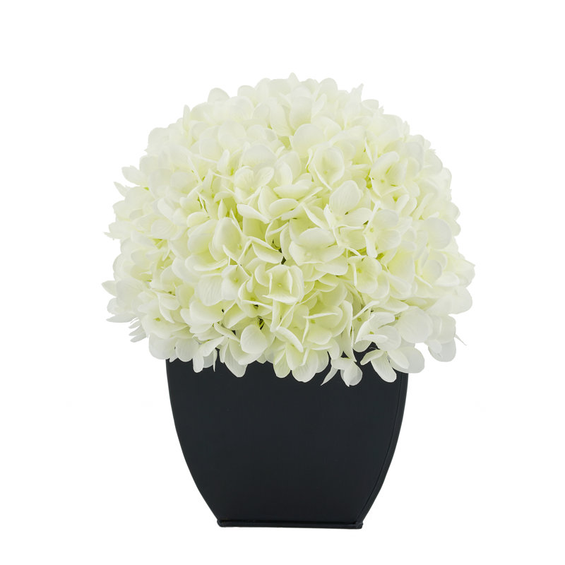 Arrangement floral hortensia en pot, Blanc