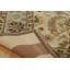 Wool Oriental Area Rug in Beige-1487226686