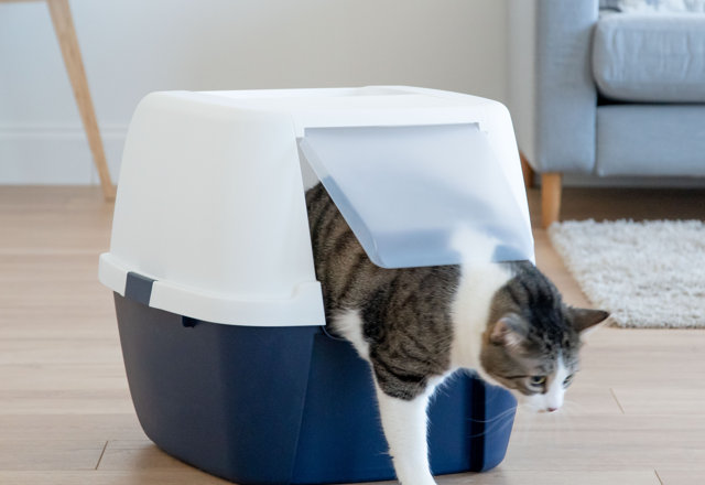 Litter Boxes Under $49