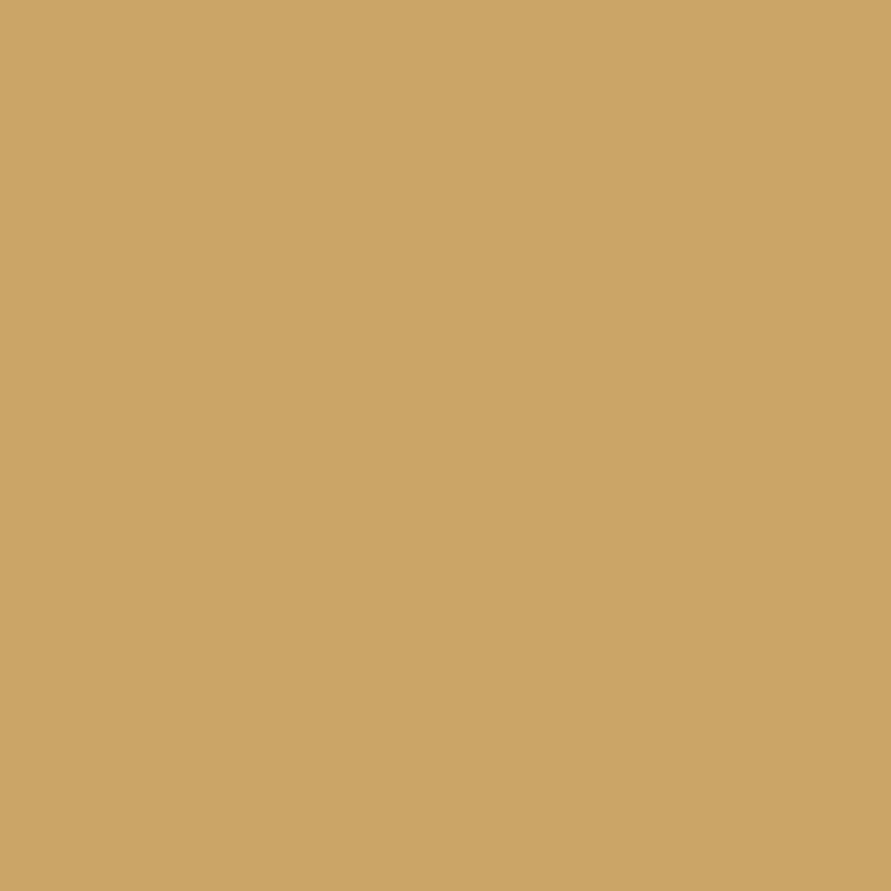 Reine Traditional Velvet Upholstered Beech Wood Side Chair in Antique Gold, Antique Gold