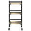 Bar Cart-288033527
