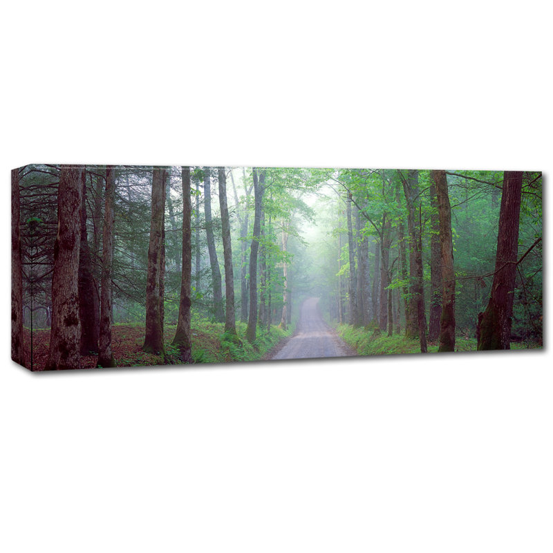 Albans «Tree Panorama», reproduction de photo sur toile tendue, H 10 po x l 32 po