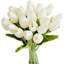 20 pièces de tulipes blanches artificielles 20 pièces de tulipes artificielles corail