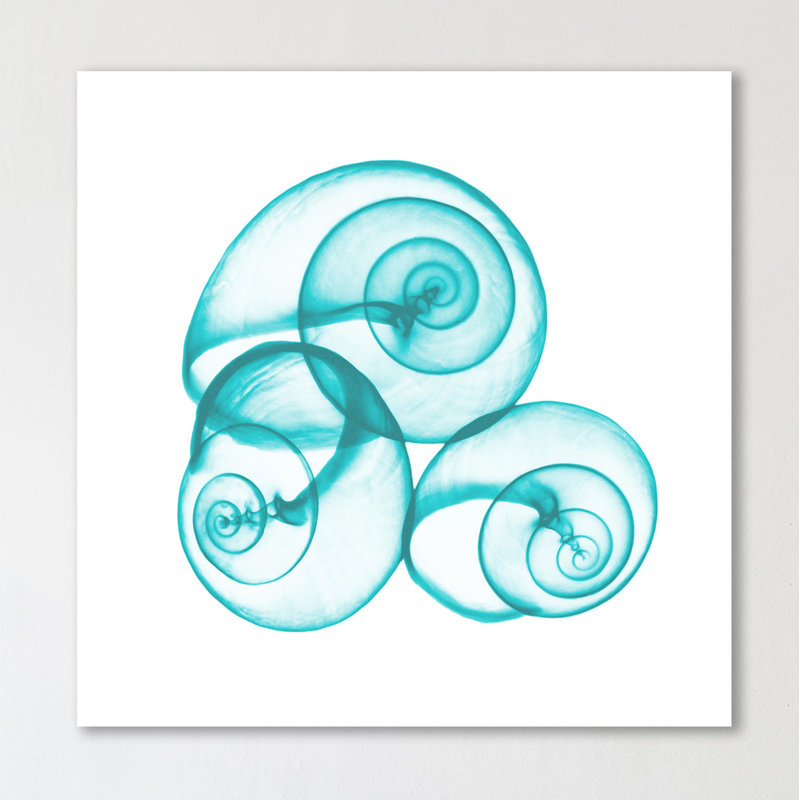 Turquoise Sky Snails - Wrapped Canvas Print, 30cm H x 30cm W x 4cm D
