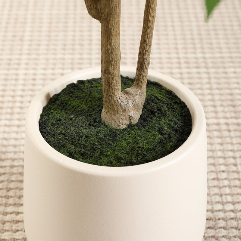 Faux ficus Agostino avec pot de fleurs rond blanc, H 84 po x l 28 po x P 28 po