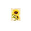 Tournesol, art mural sur toile, tournesol rétro, floral jaune, cadre en bois massif, 16 po x 24 po