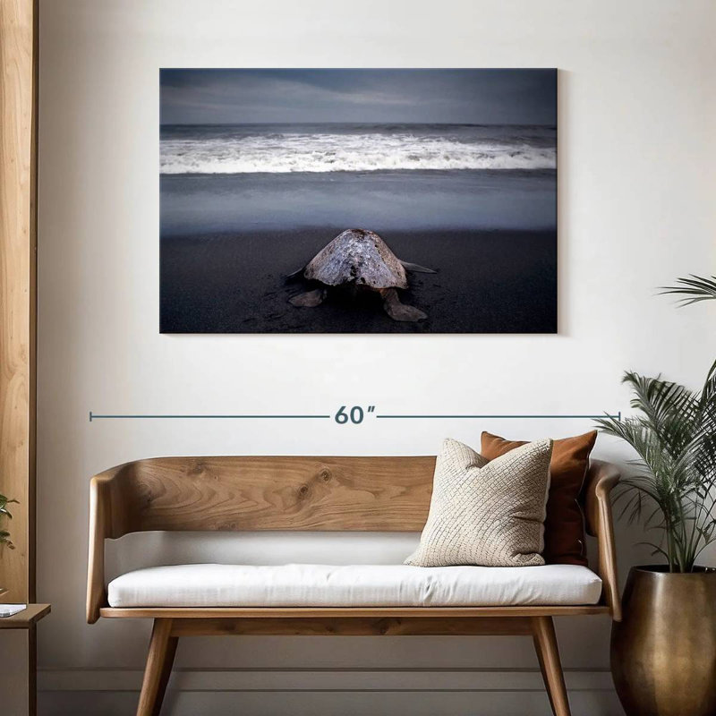 Brampt Ridley Sea Turtle, 30" H x 45" W