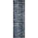 Blazek Abstract Indoor Rug