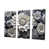 Toile tendue