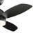 Vassar 52'' Ceiling Fan with LED Lights