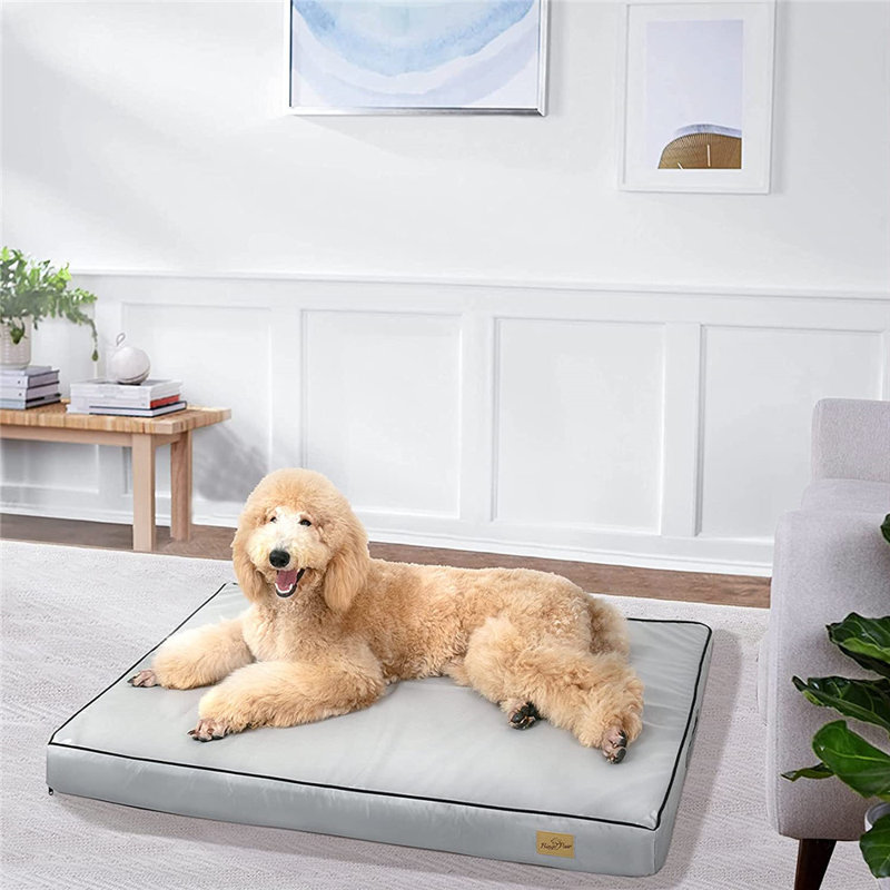 Orthopedic Polyester Pet Bed, 10cm H x 120cm W x 90cm D