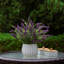 Arrangement floral ou centre de table Ledbetter