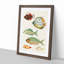 East Indies Fish Illustrations Fol. 23 by Louis Renard - Picture Frame Painting Print-55547303-55547306