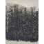 Contemporary Abstract Area Rug-1710753955