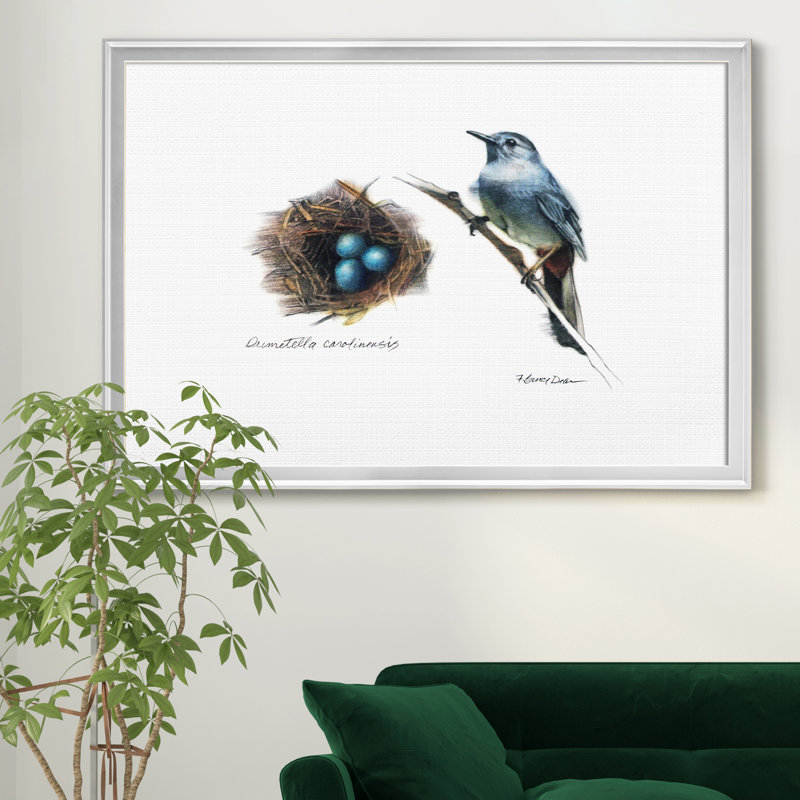 «Bird & Nest Study II», impression sur toile encadrée, Argent, H 18,5 po x l 24,5 po x P 1,5 po