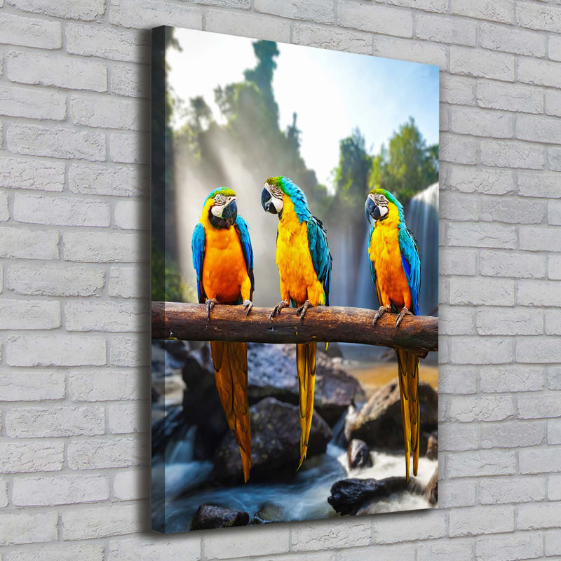 Macaw Parrots - Wrapped Canvas Print