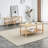 Coffee Table For Modern Living Space, Rectangular, Storage, Solid Wood & , Stable Area, Rectangular 2 With Open And , Low Maintenance