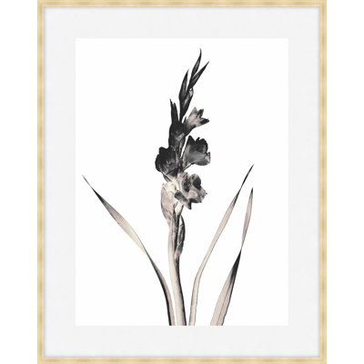 Flora Noir 3 Framed Print