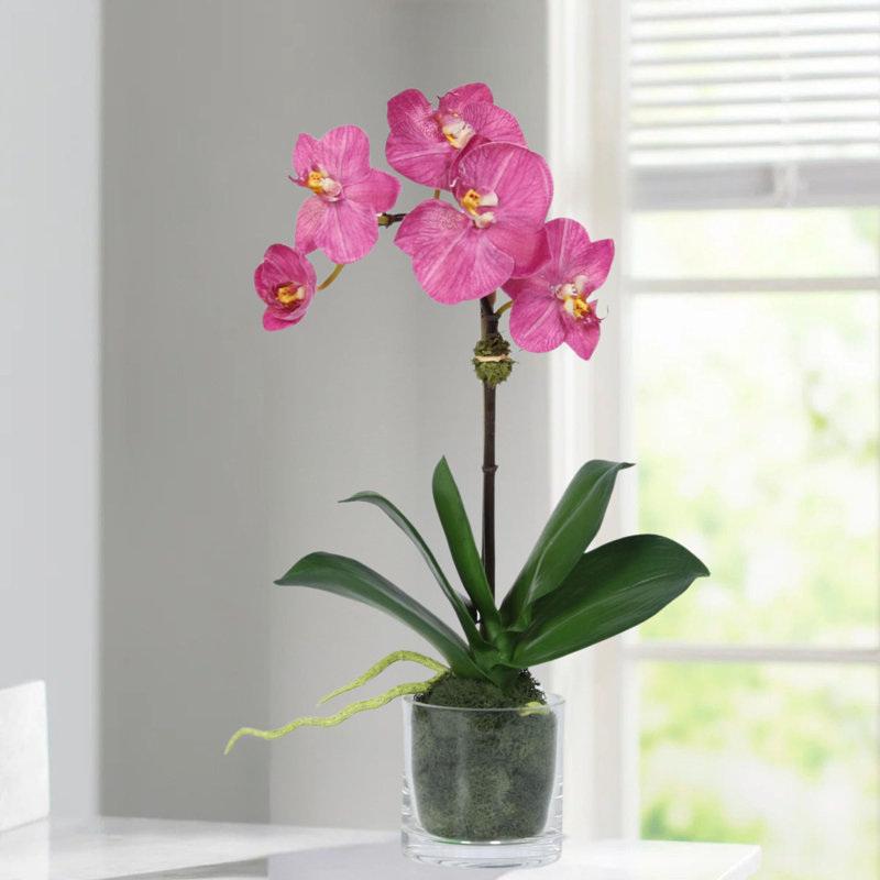 Orchid Arrangement In Glass Vase, White