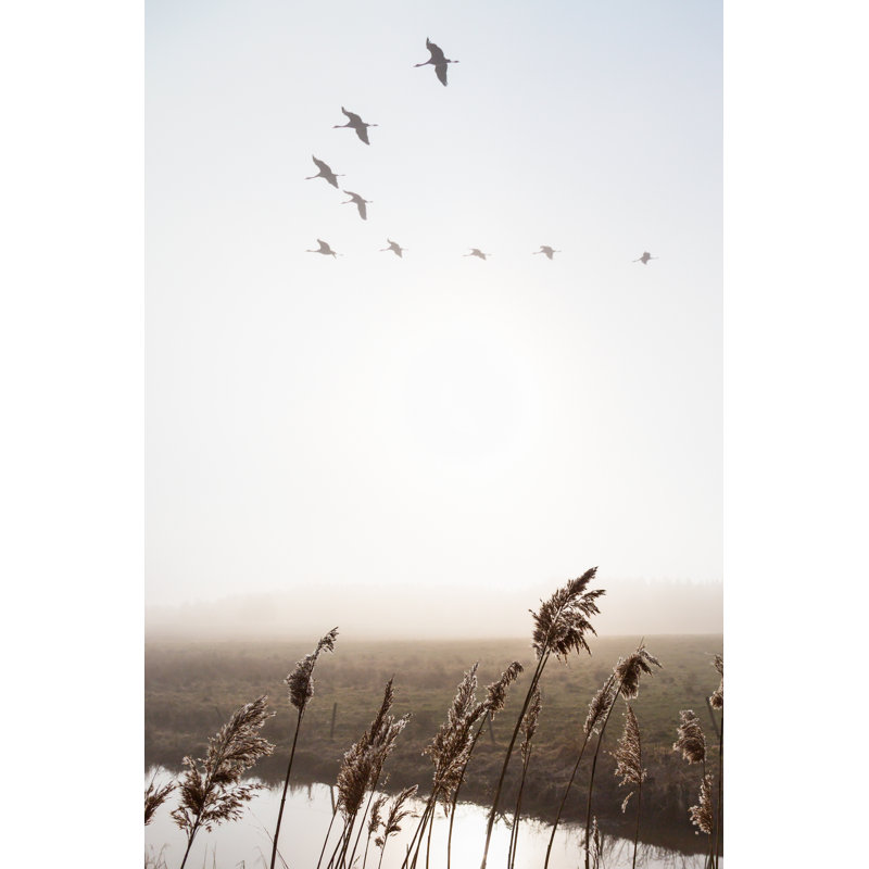 Cranes In Sky Over Misty by TT - Wrapped Canvas Print, 46cm H x 30cm W