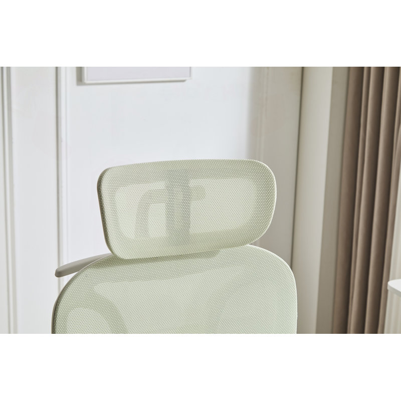 Chaise de bureau ergonomique avec repose-pieds et soutien lombaire dynamique, Green, Green