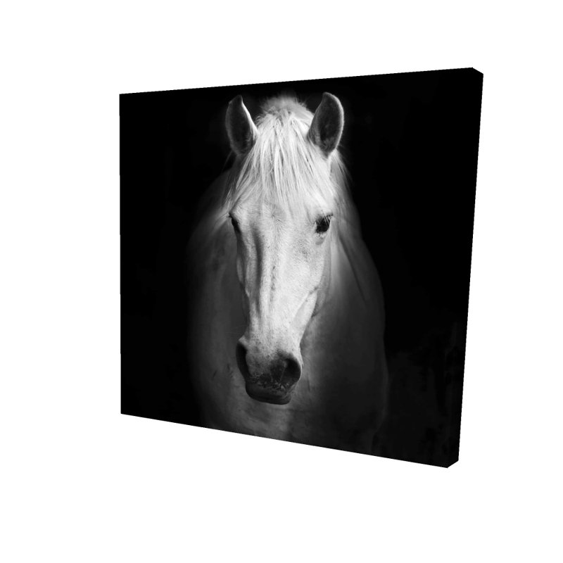 Toile cheval monochrome | Animaux de la ferme, décor de grotte