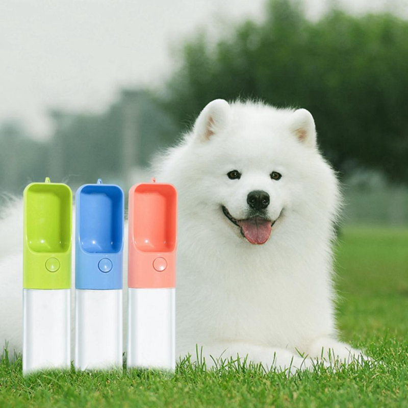 Distributeur d'eau automatique, Vert