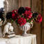 Tige de dahlia-1377937018