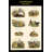 Affiche de classe composite partridge-impression d’art graphique-16892079