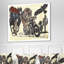 «Native American in Moto», impression-29496116-34270892