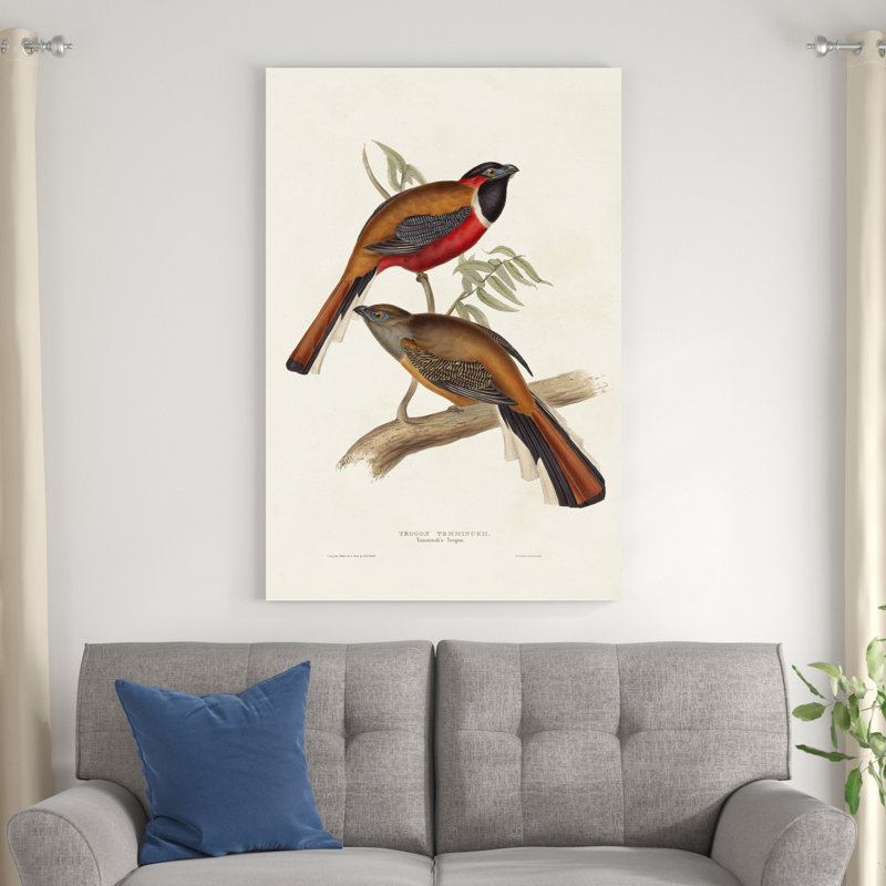 Elegant Trogons IV, H 48 po x l 32 po x P 1,25 po