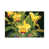 Wrapped Canvas selected