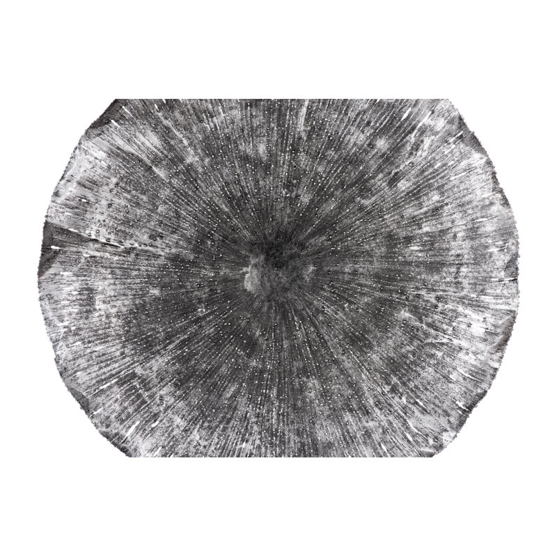 Lotus Wall Décor, Antique Silver, 28" H x 28" W x 5" D