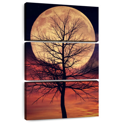 Oberle Mystic Moonlit Tree
