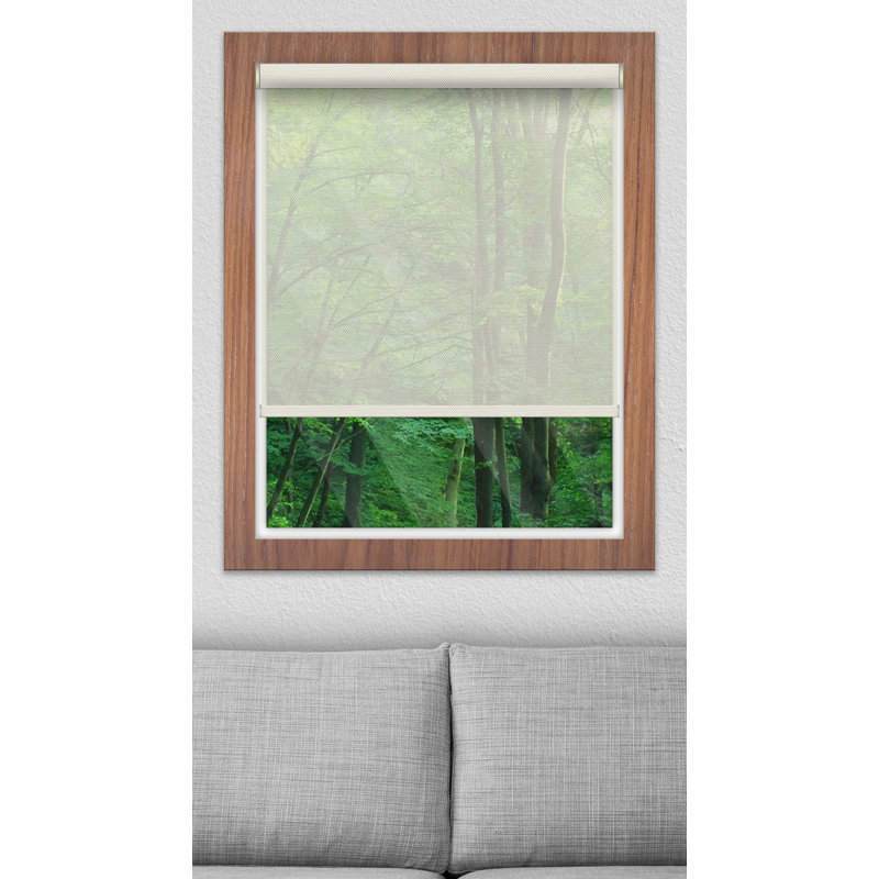 Store à enroulement semi-transparent solaire, L 45 po x L 48 po, Gris anthracite, Sans fil