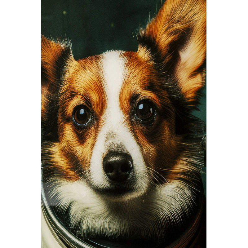 Astronauts Dogs Print on Glass