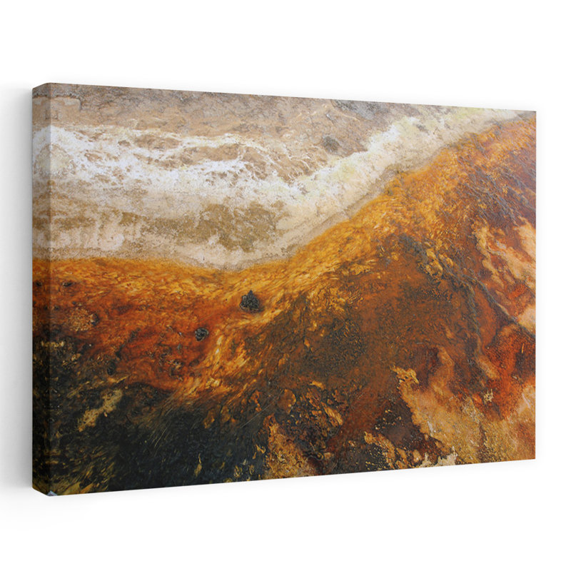 Algue I abstrait, art contemporain organique, H 32 po x l 48 po