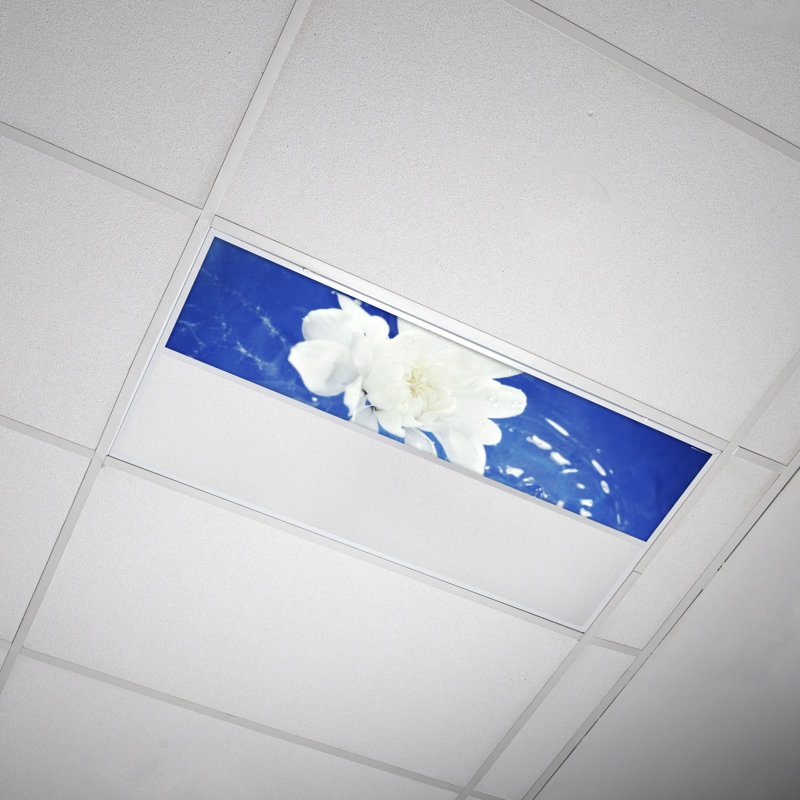 Flower Rectangle Fixture Component Ceiling Light