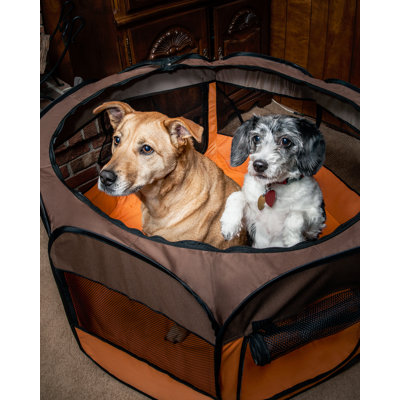 Pet Life All-Terrain' Lightweight Easy Folding Wire-Framed Collapsible Travel Pet Playpen