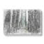 View Of A Pine Tree Forest - Wrapped Canvas-56643329
