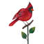 Piquet Songbird - Cardinal