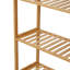 10 Pair Shoe Rack