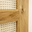 Aloizas Oak with Rattan Barn Door-213726067